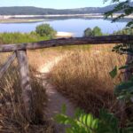 sentiero che porta a un lago paesaggio in mezzo alla natura