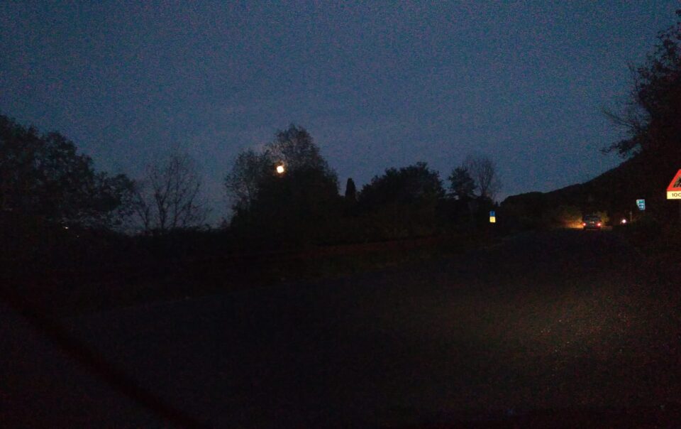 la luna tra gli alberi che illumina come se fosse giorno