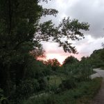 paesaggio con boschi e arbusti al tramonto, sulla sinistra si intravede una strada serpeggiante