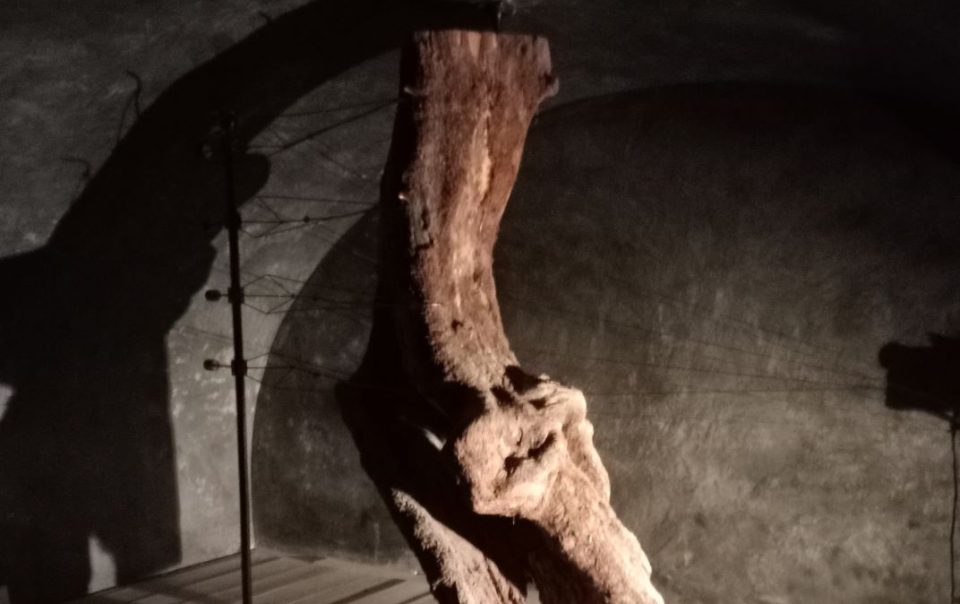 istallazione al museo dell'olio di Castelnuovo di farfa, un tronco con figura antromorfizzata