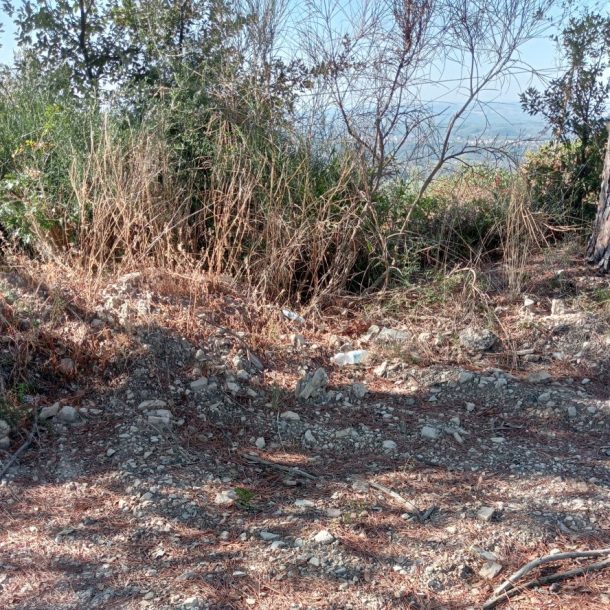 il cammino di un selciato con uno sfondo di siepi e montagne