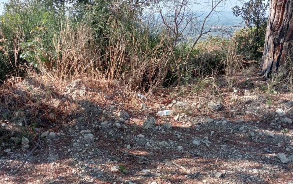 il cammino di un selciato con uno sfondo di siepi e montagne