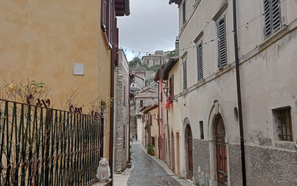 vicolo sotto la pioggia in mezzo a palazzi