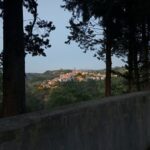 Ombre d'ali